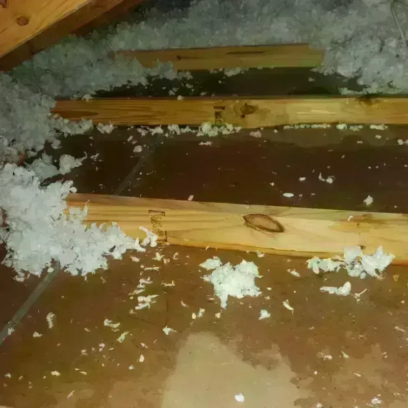 Attic Water Damage in Belding, MI