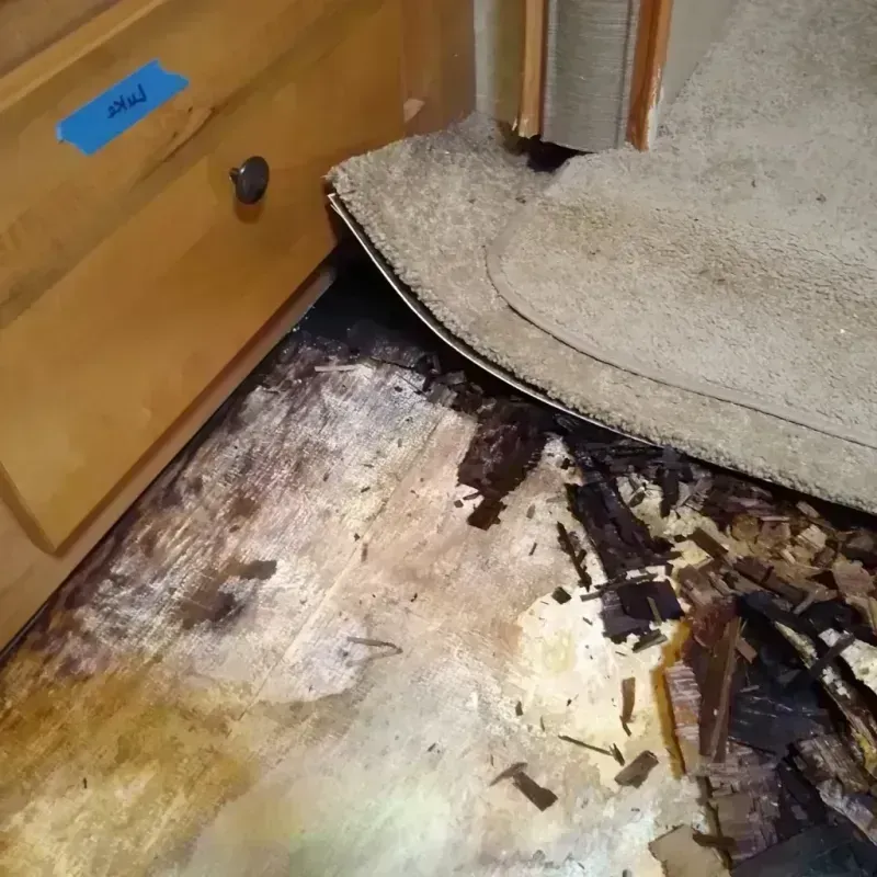 Wood Floor Water Damage in Belding, MI